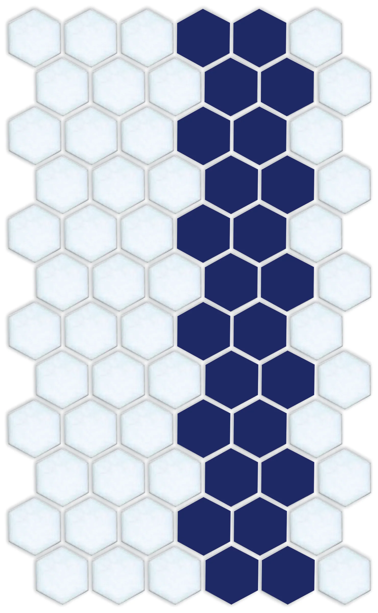 Lorida Border | Pinnacle Hexagon Border - Image 44